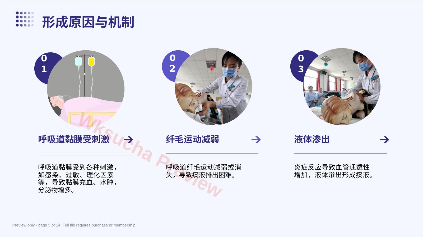 预览第 5 页