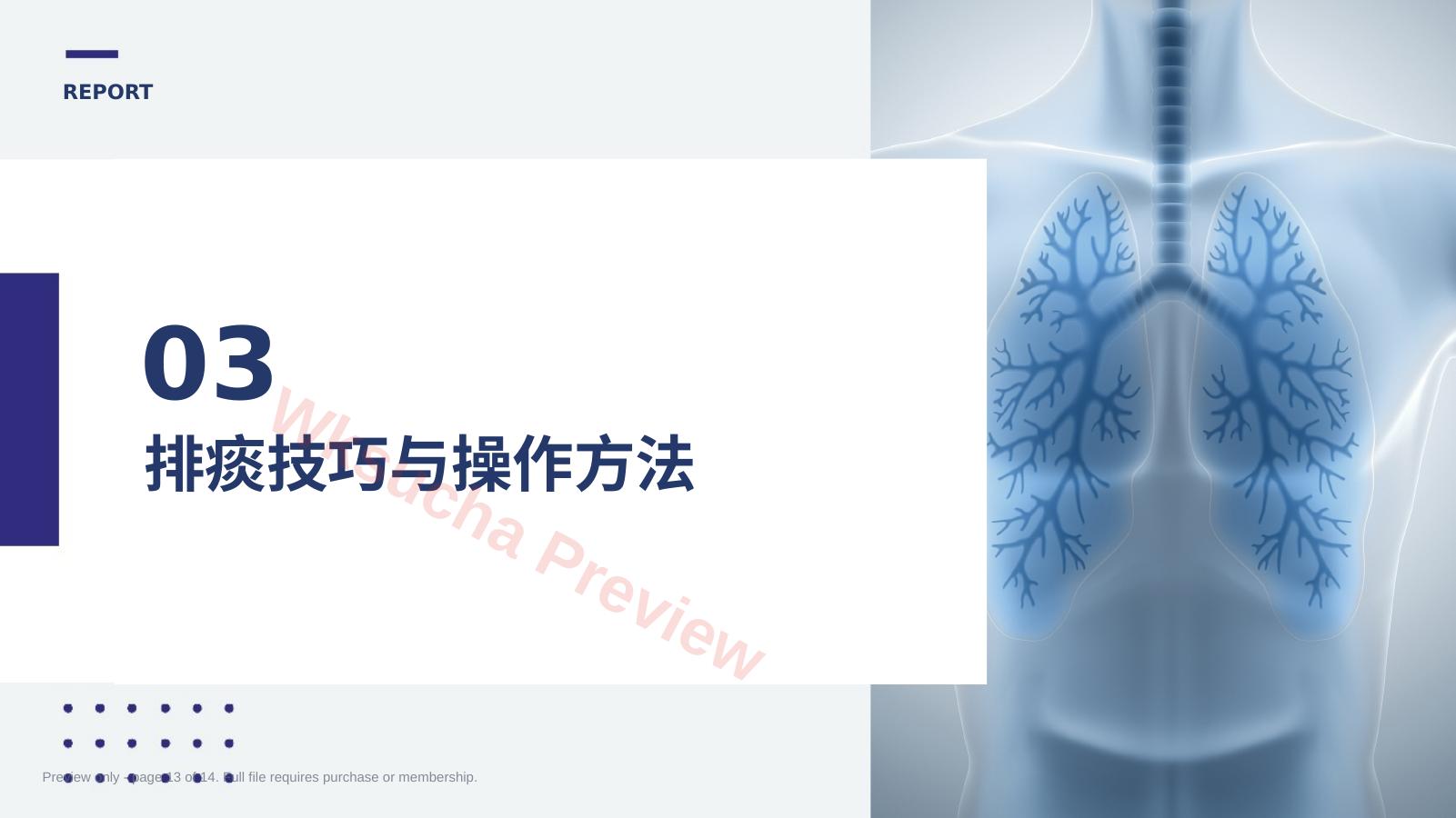 预览第 13 页