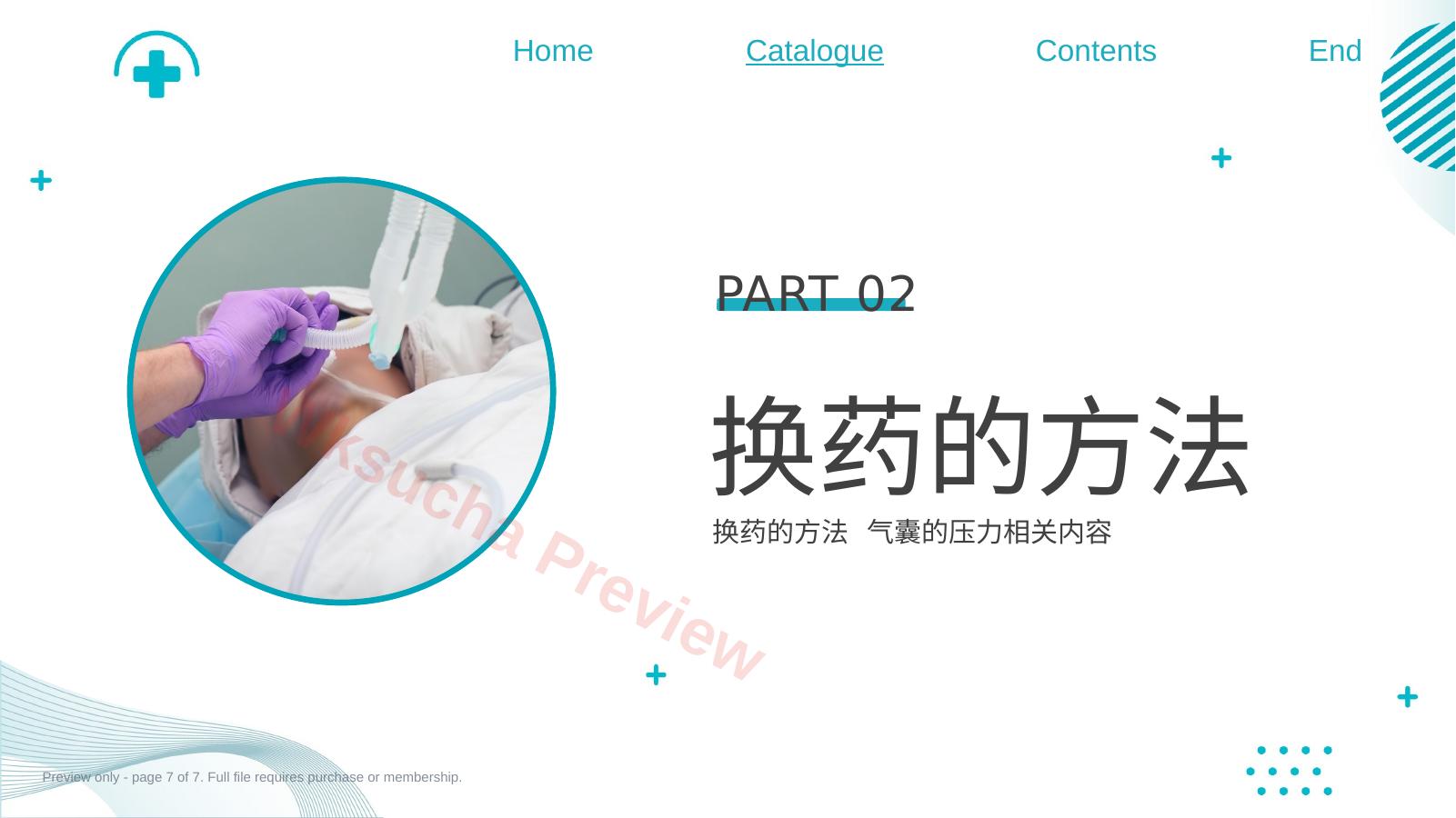 预览第 7 页