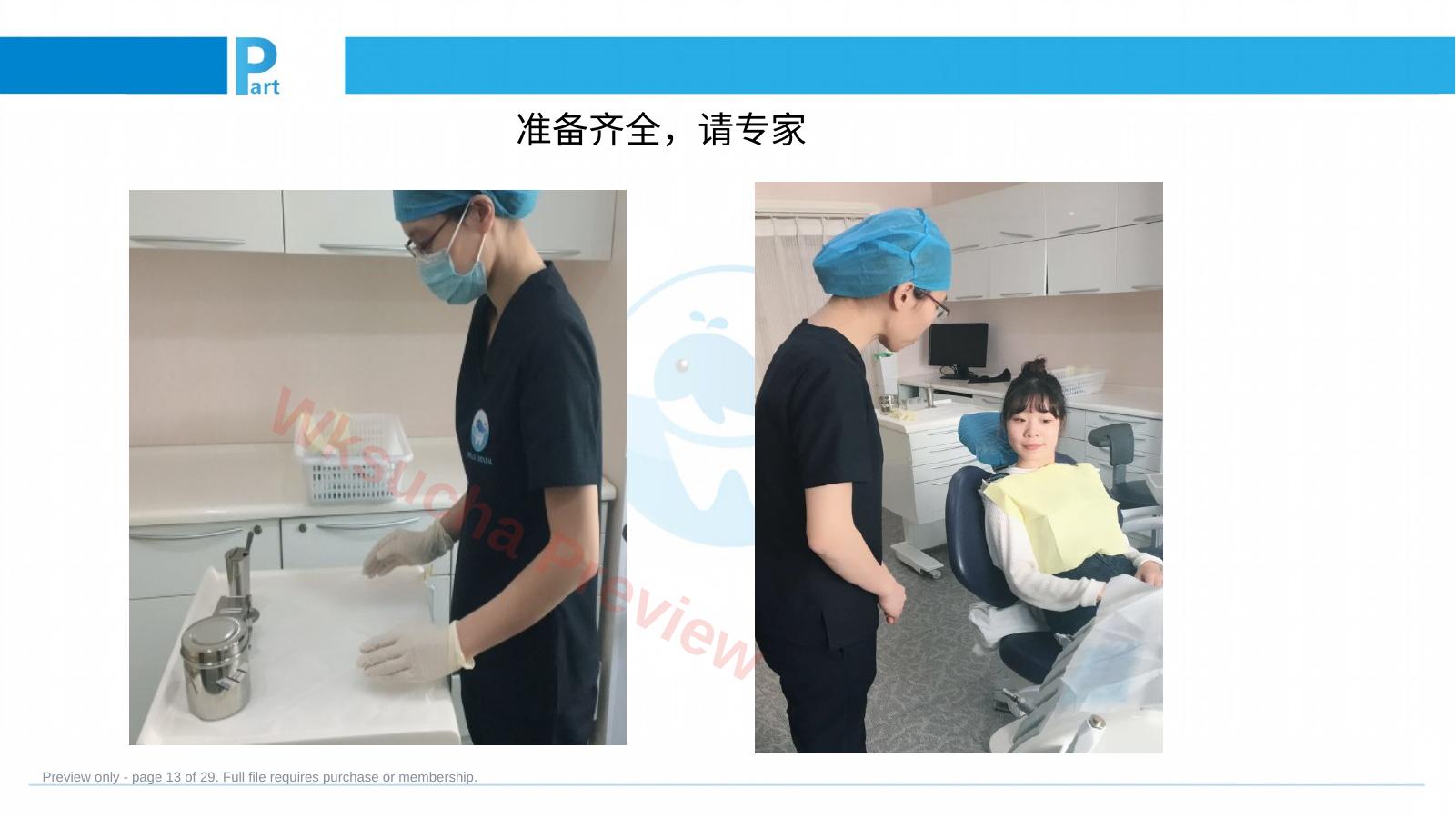 预览第 13 页