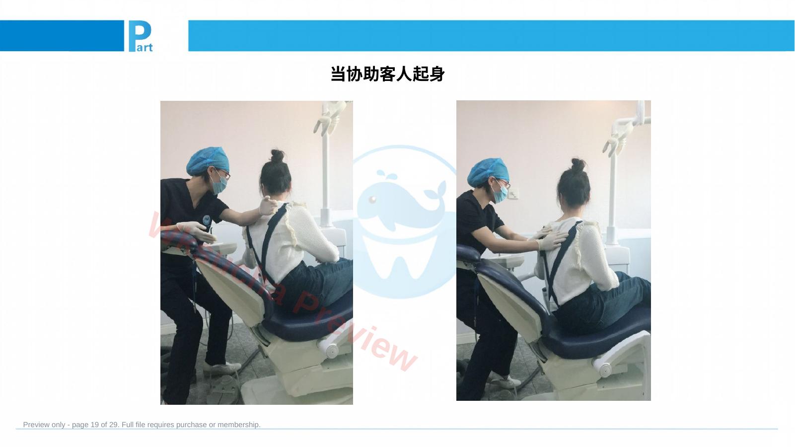 预览第 19 页
