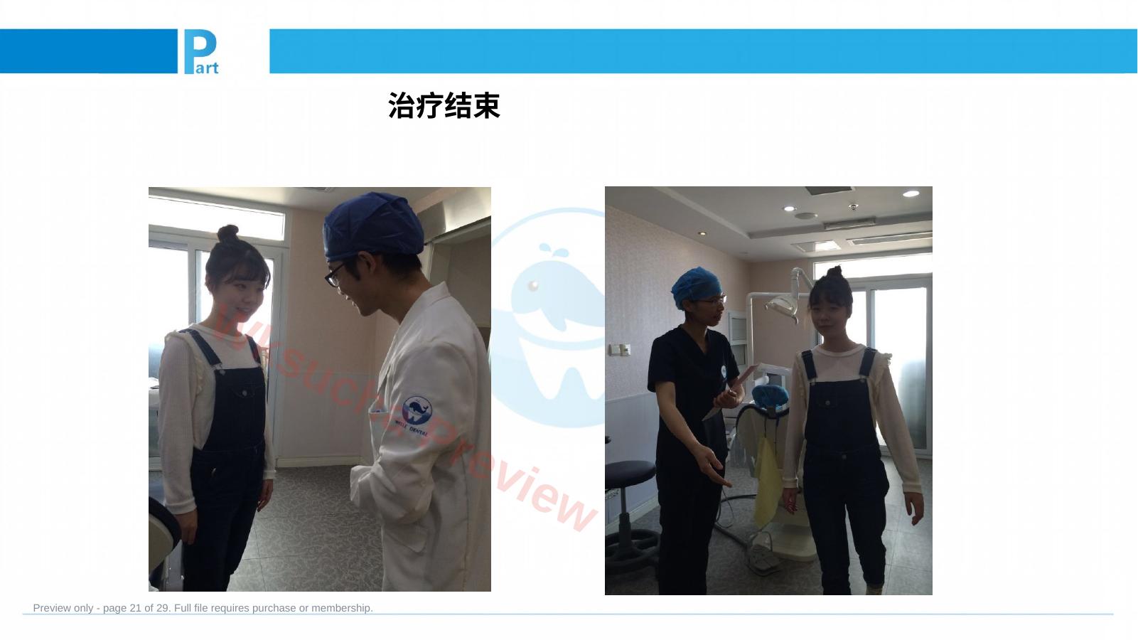 预览第 21 页