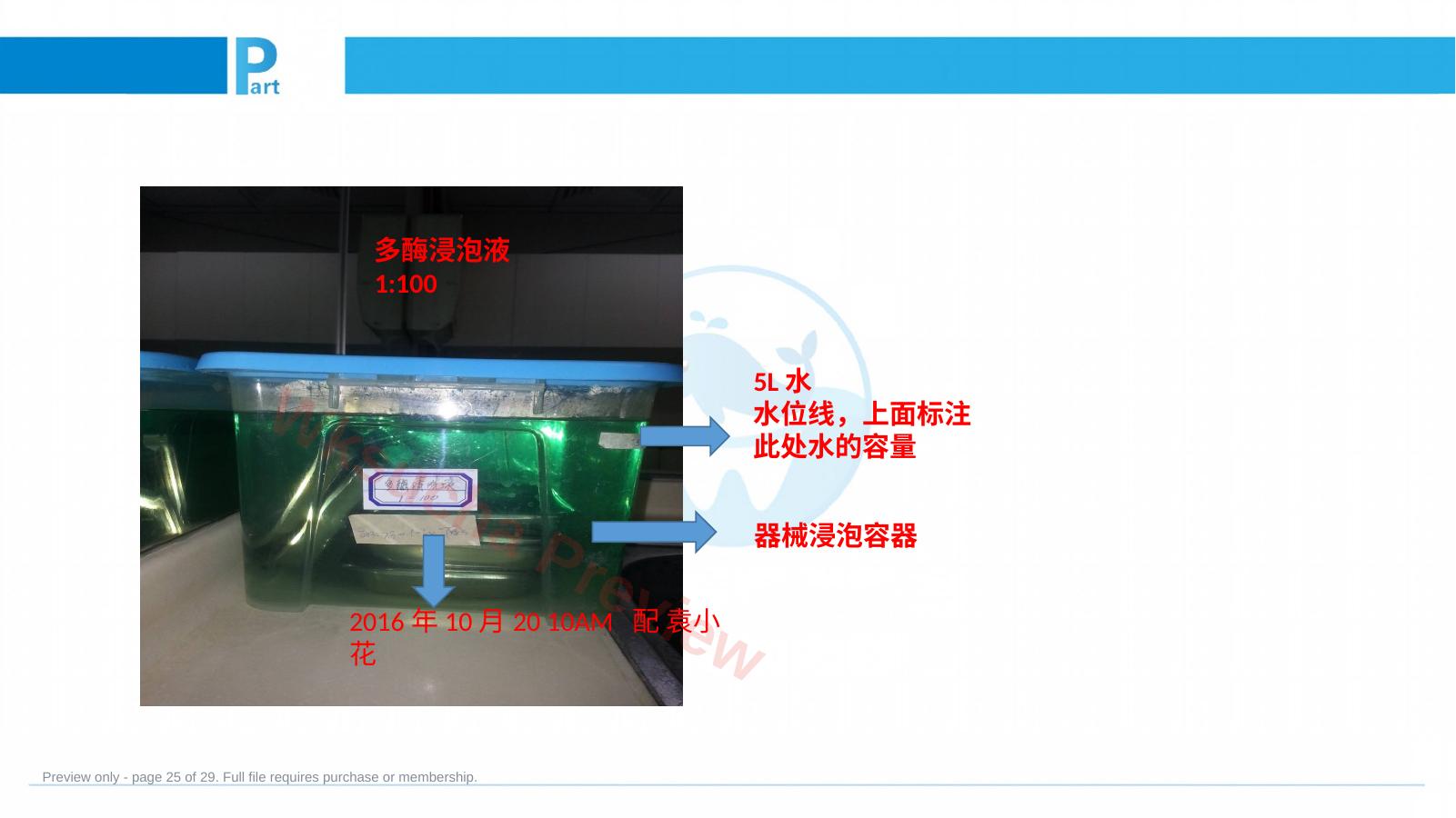 预览第 25 页