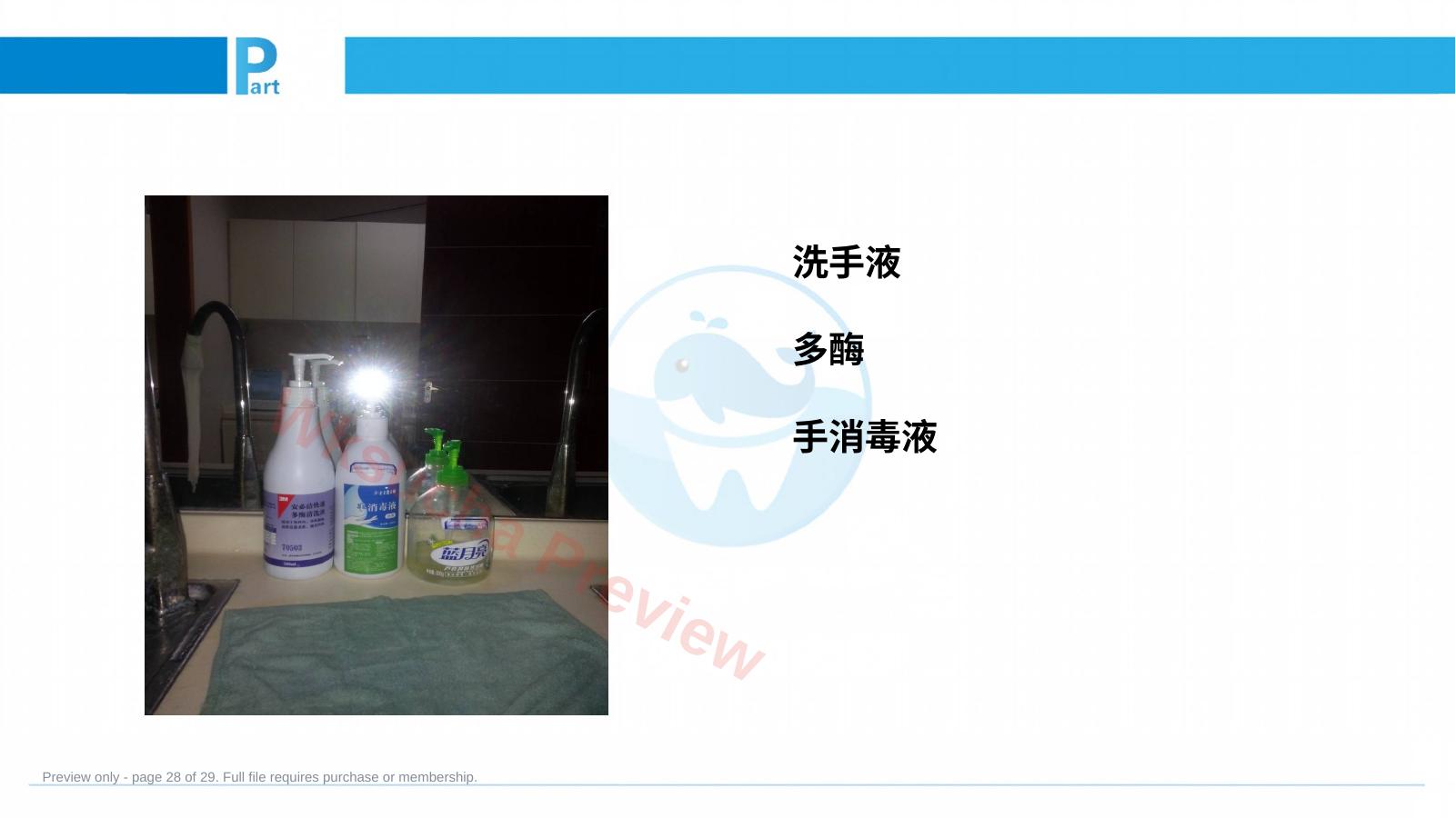 预览第 28 页