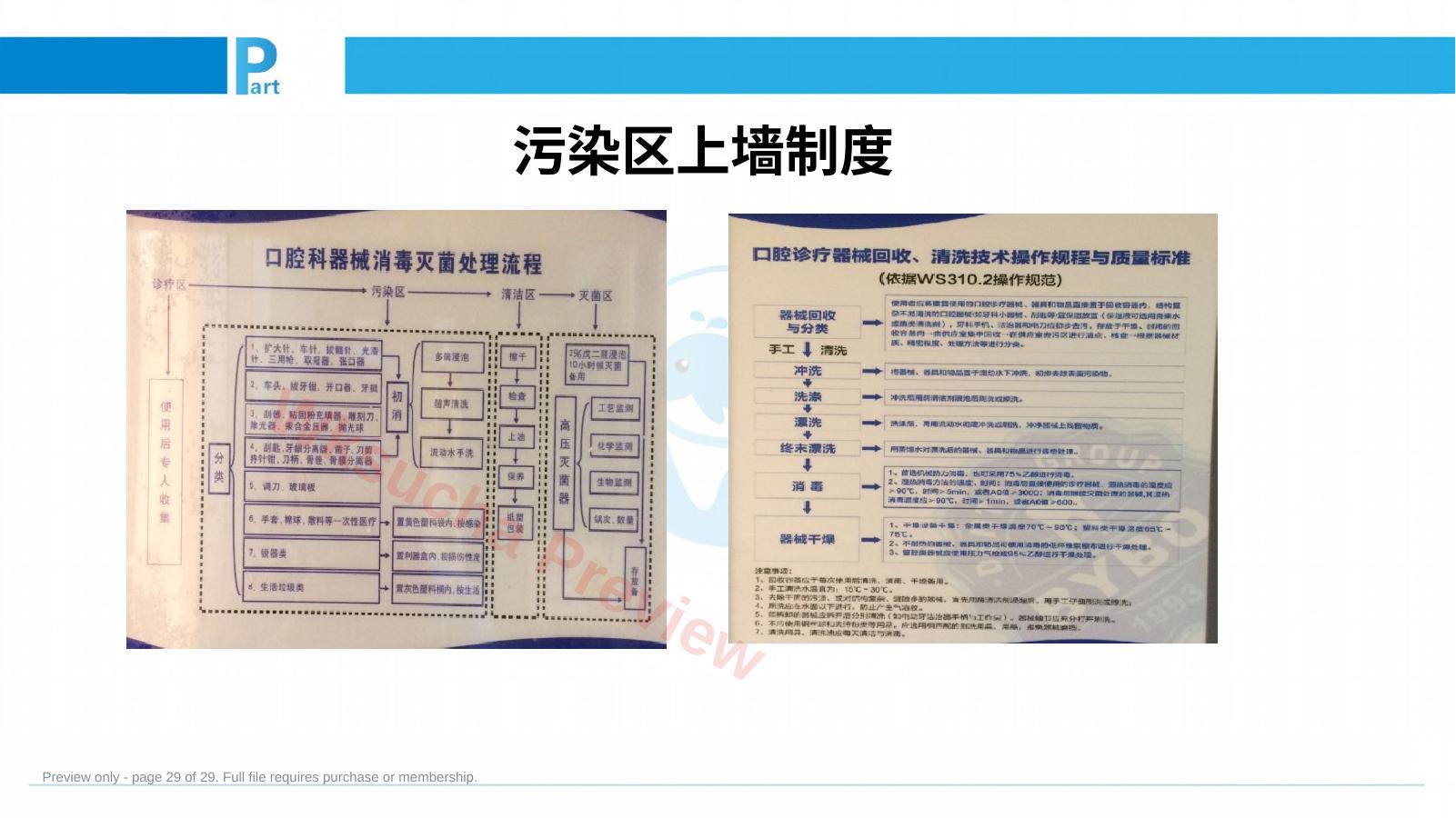 预览第 29 页
