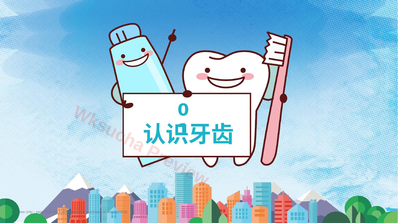 预览第 3 页