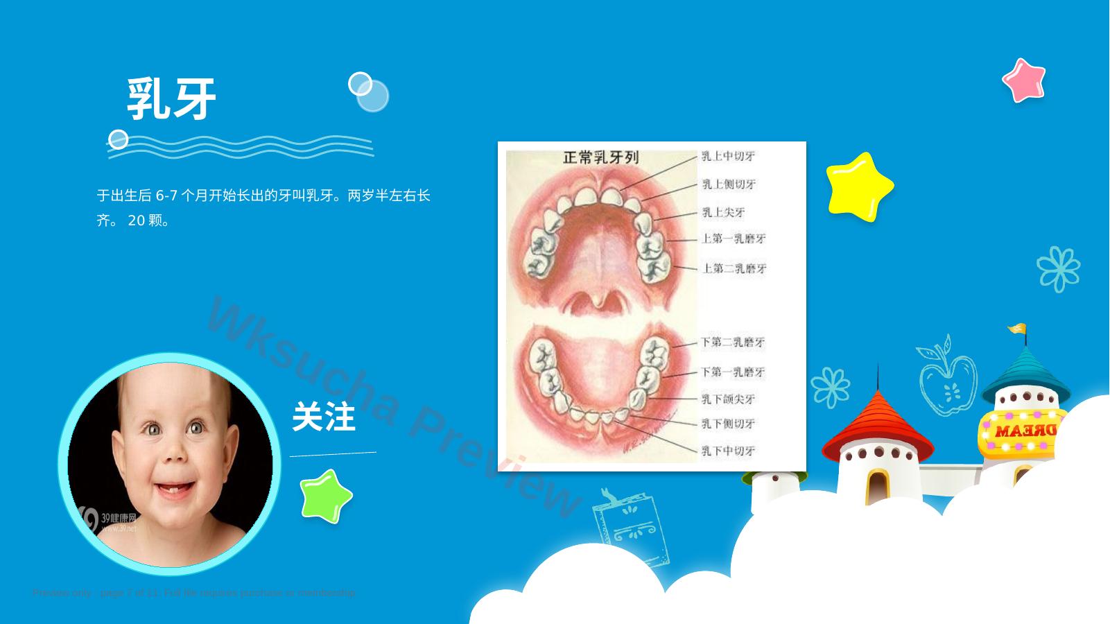 预览第 7 页