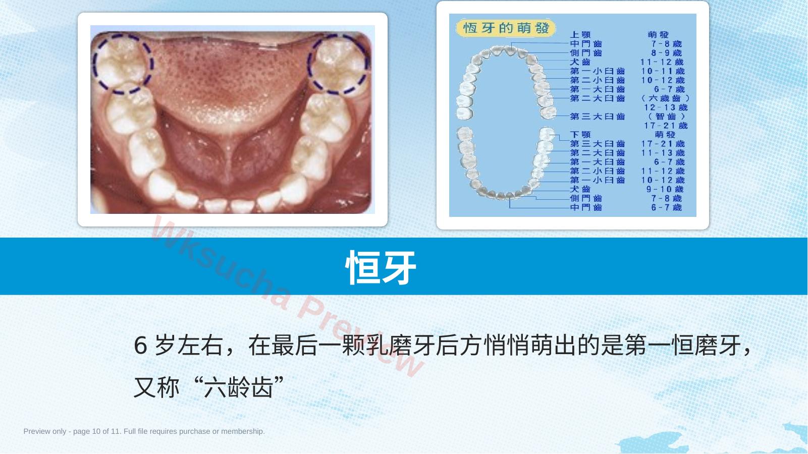 预览第 10 页
