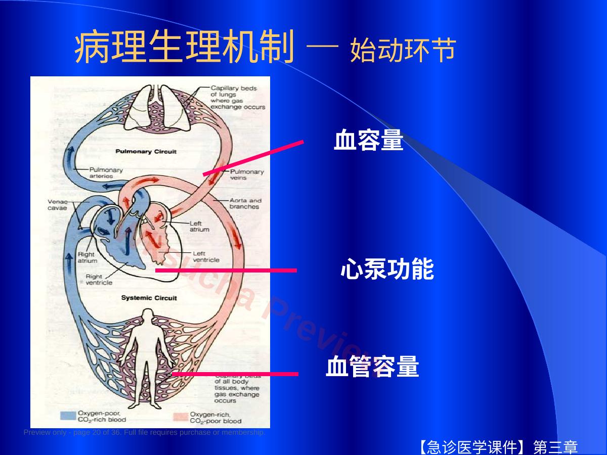 预览第 20 页