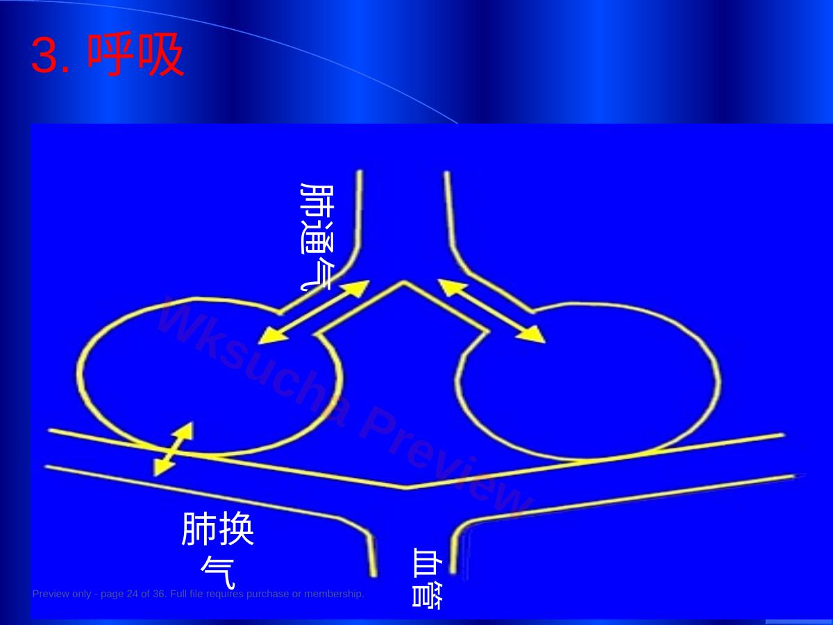 预览第 24 页