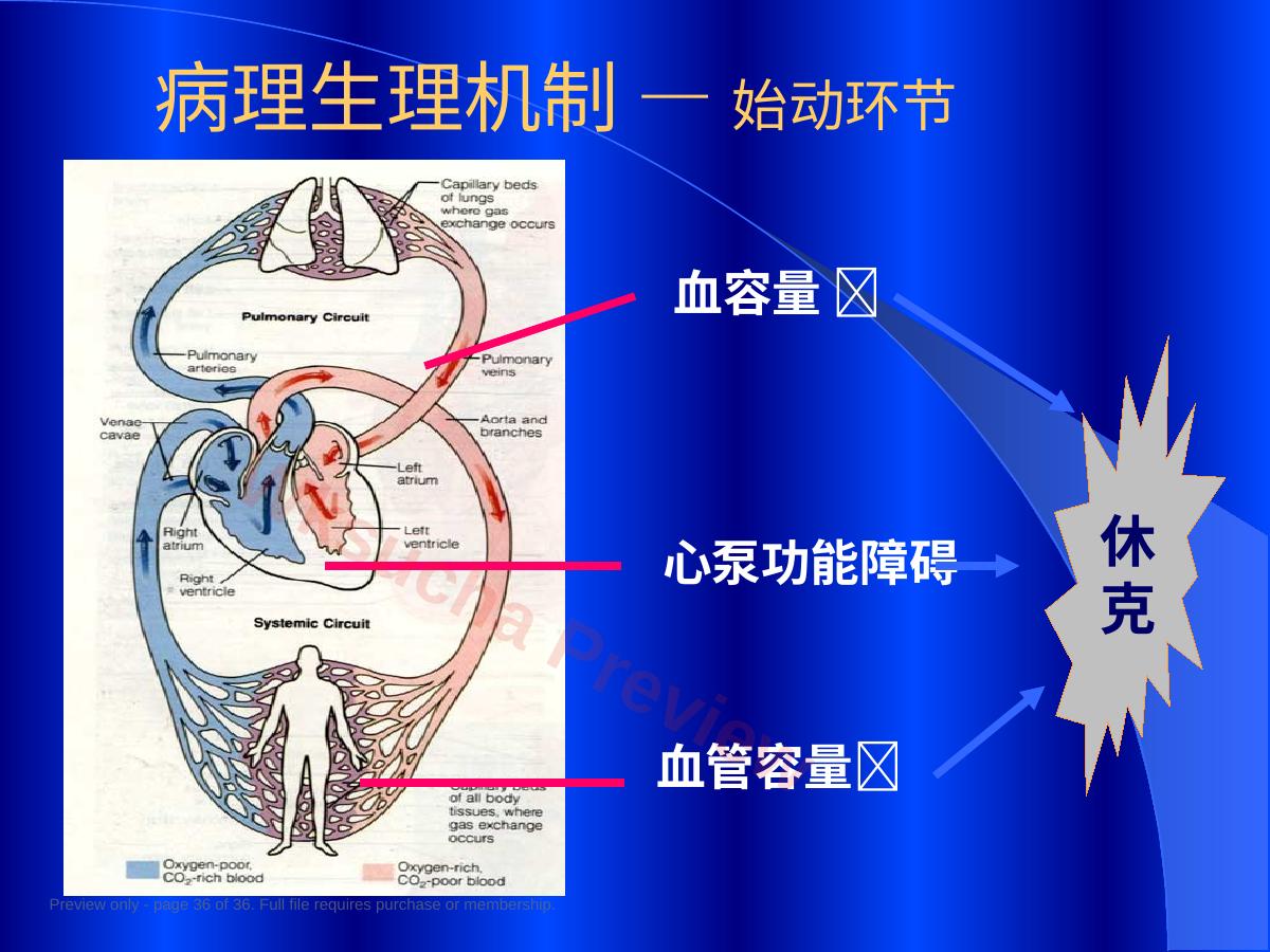 预览第 36 页