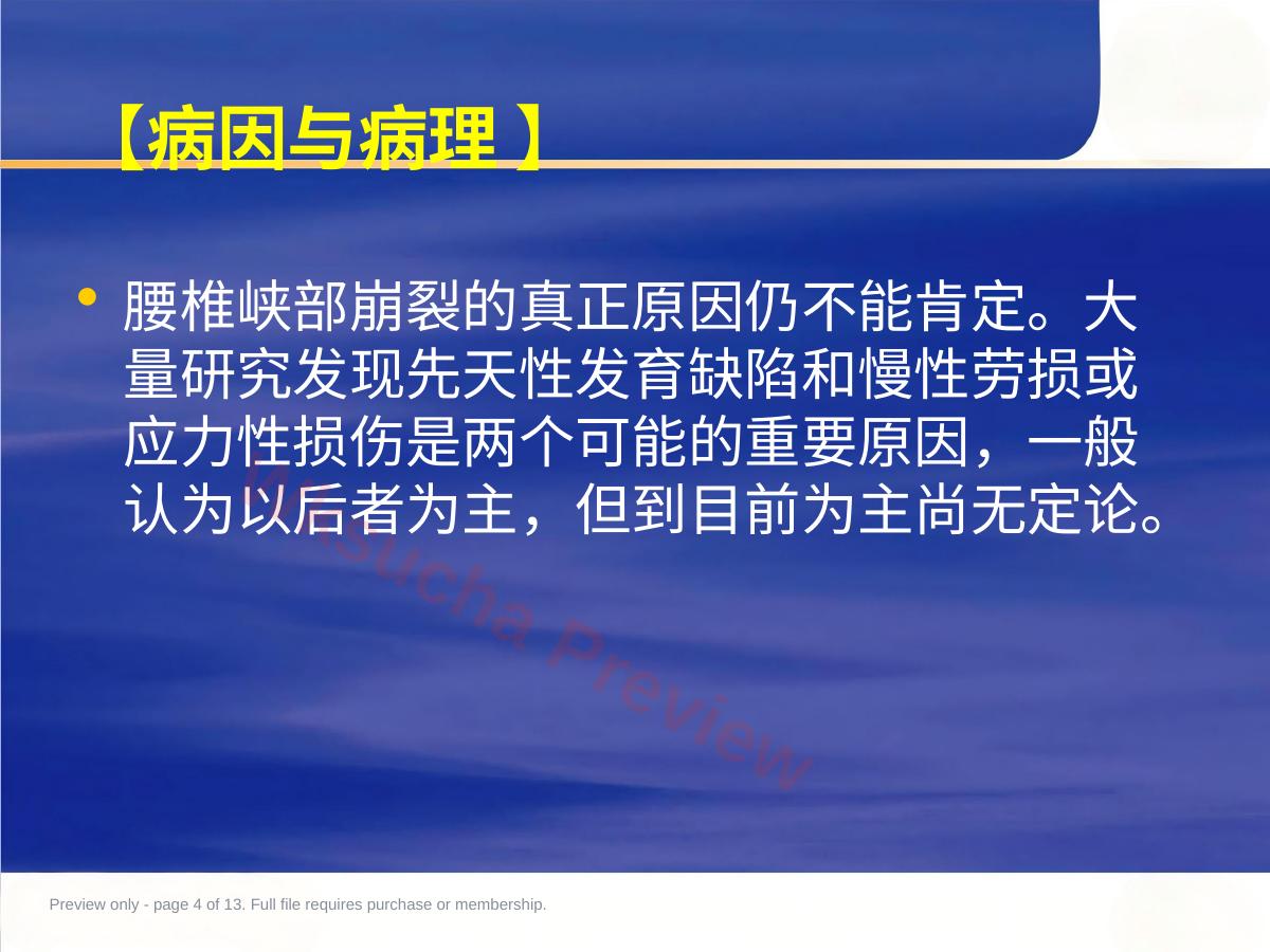 预览第 4 页
