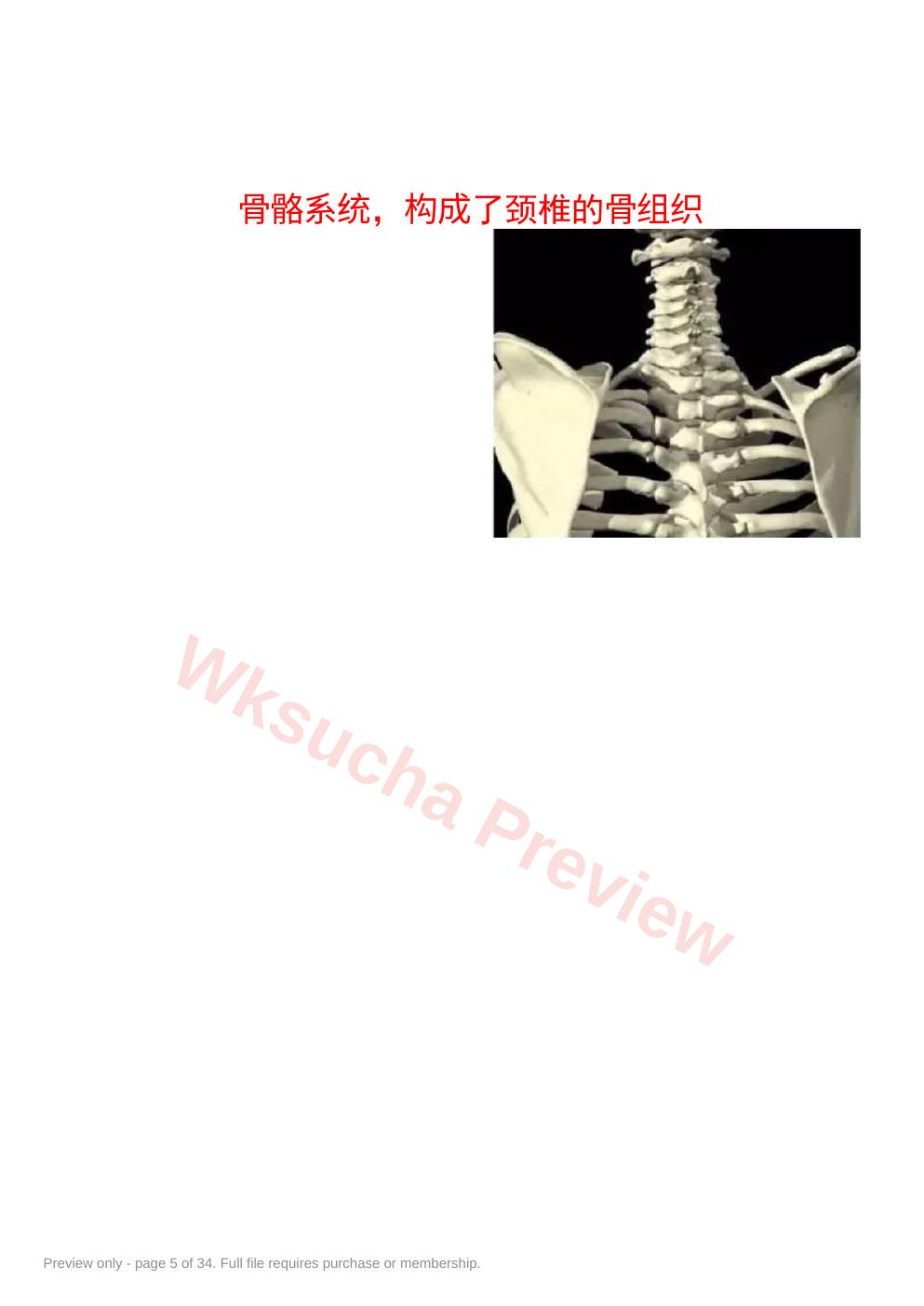 预览第 5 页