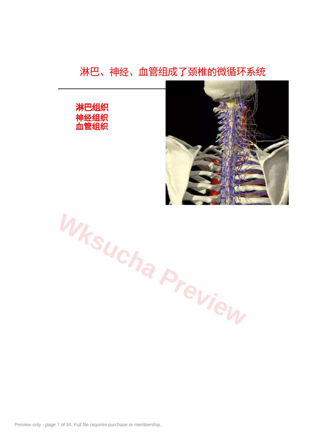 预览第 7 页