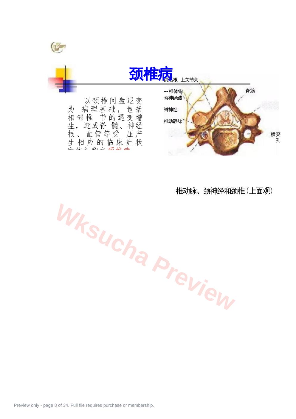 预览第 8 页