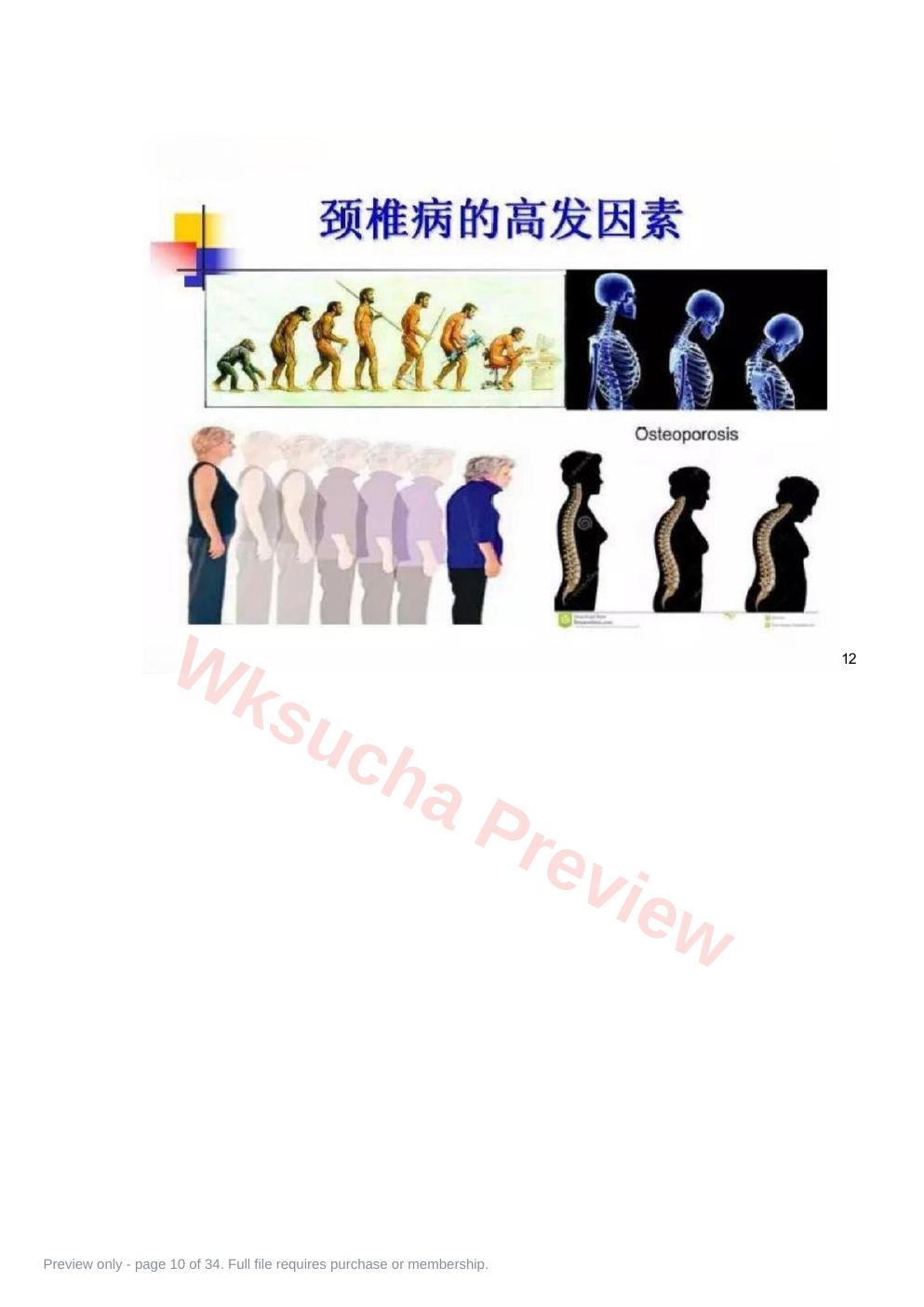 预览第 10 页