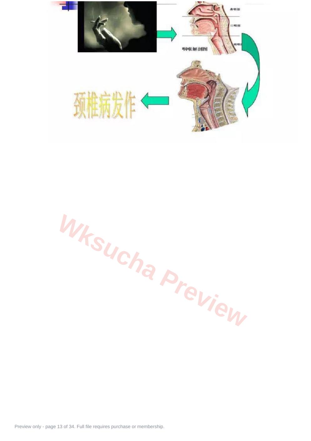 预览第 13 页
