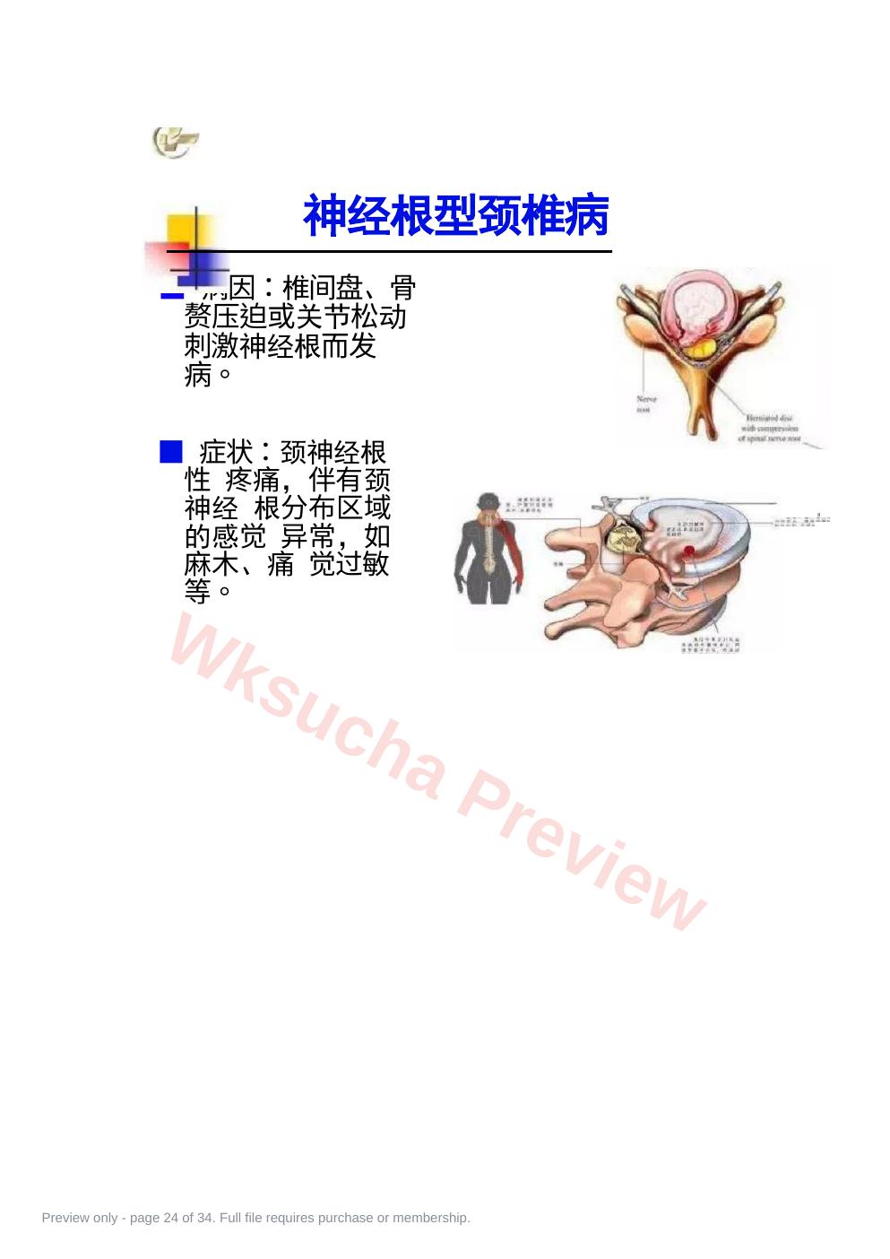 预览第 24 页