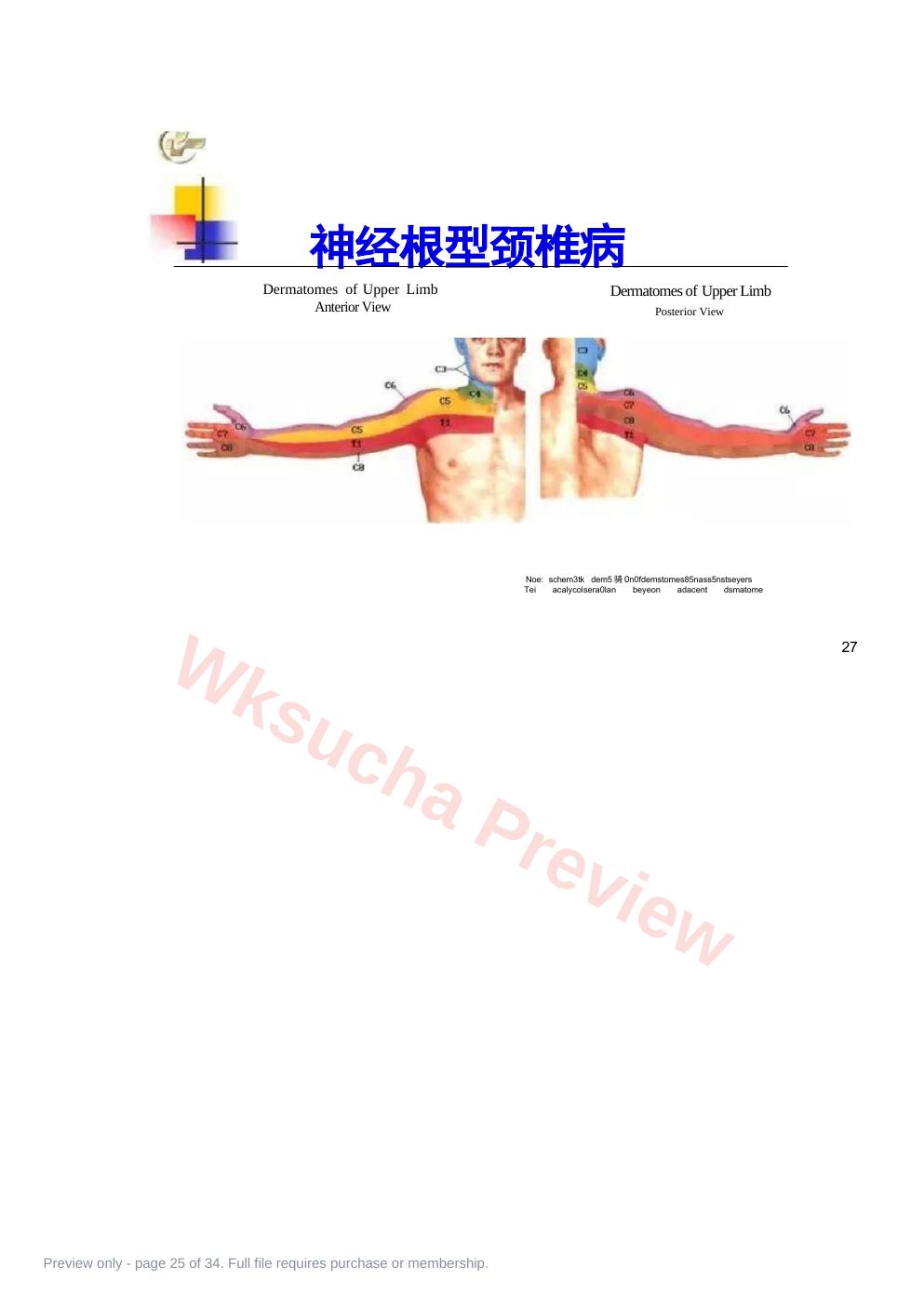 预览第 25 页