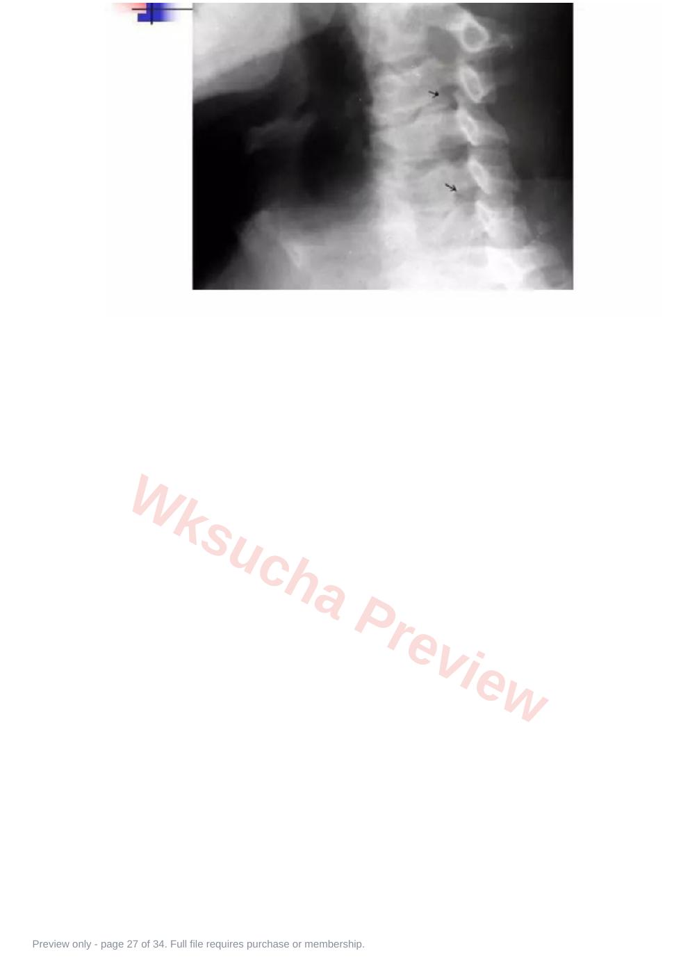 预览第 27 页