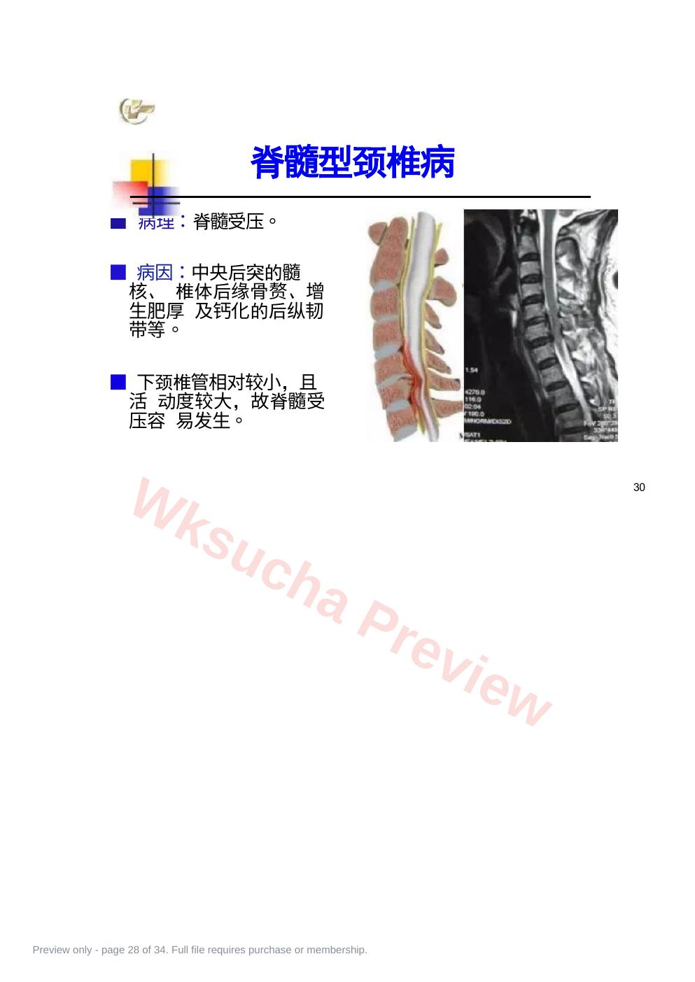 预览第 28 页
