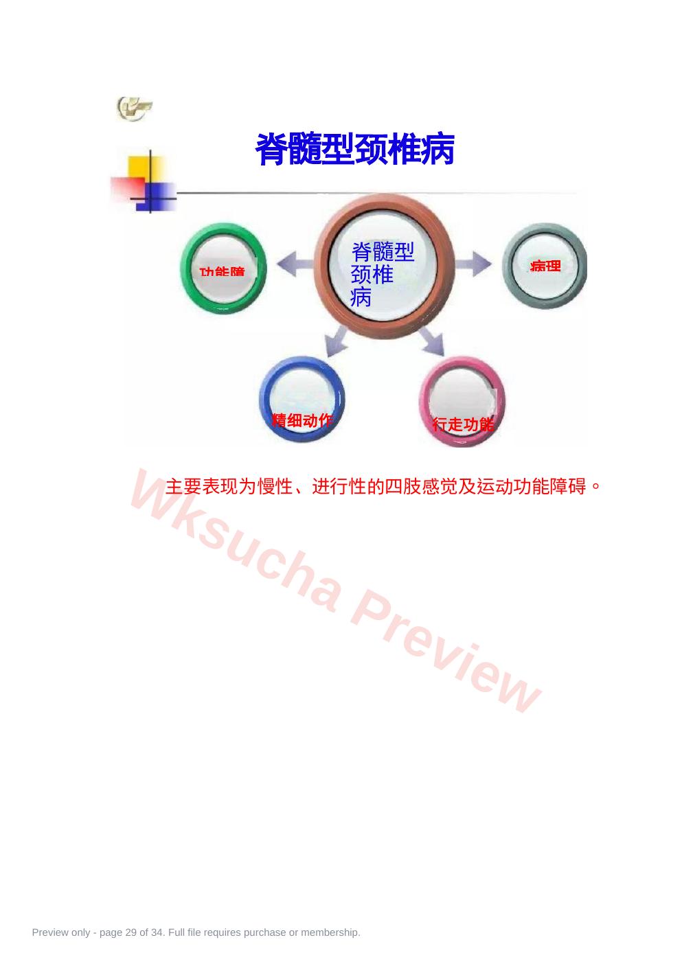 预览第 29 页