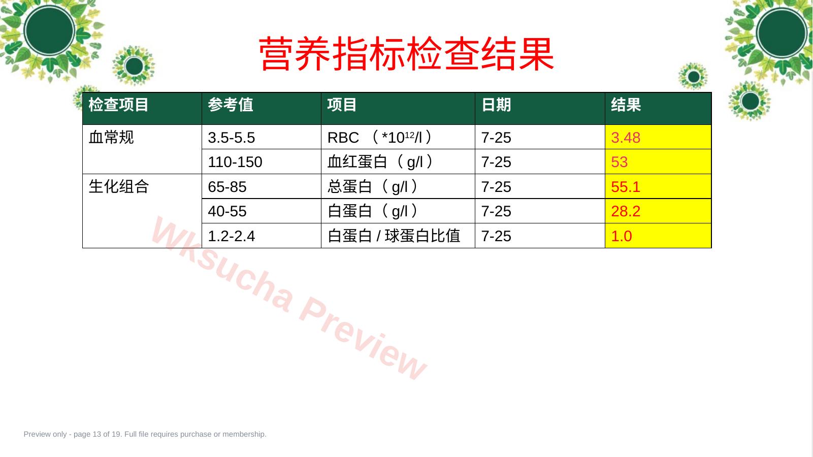 预览第 13 页