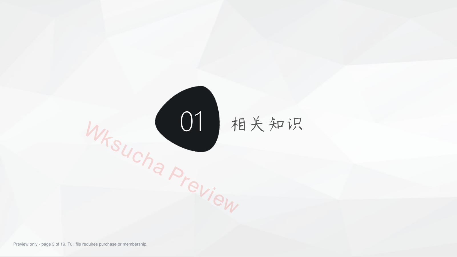 预览第 3 页