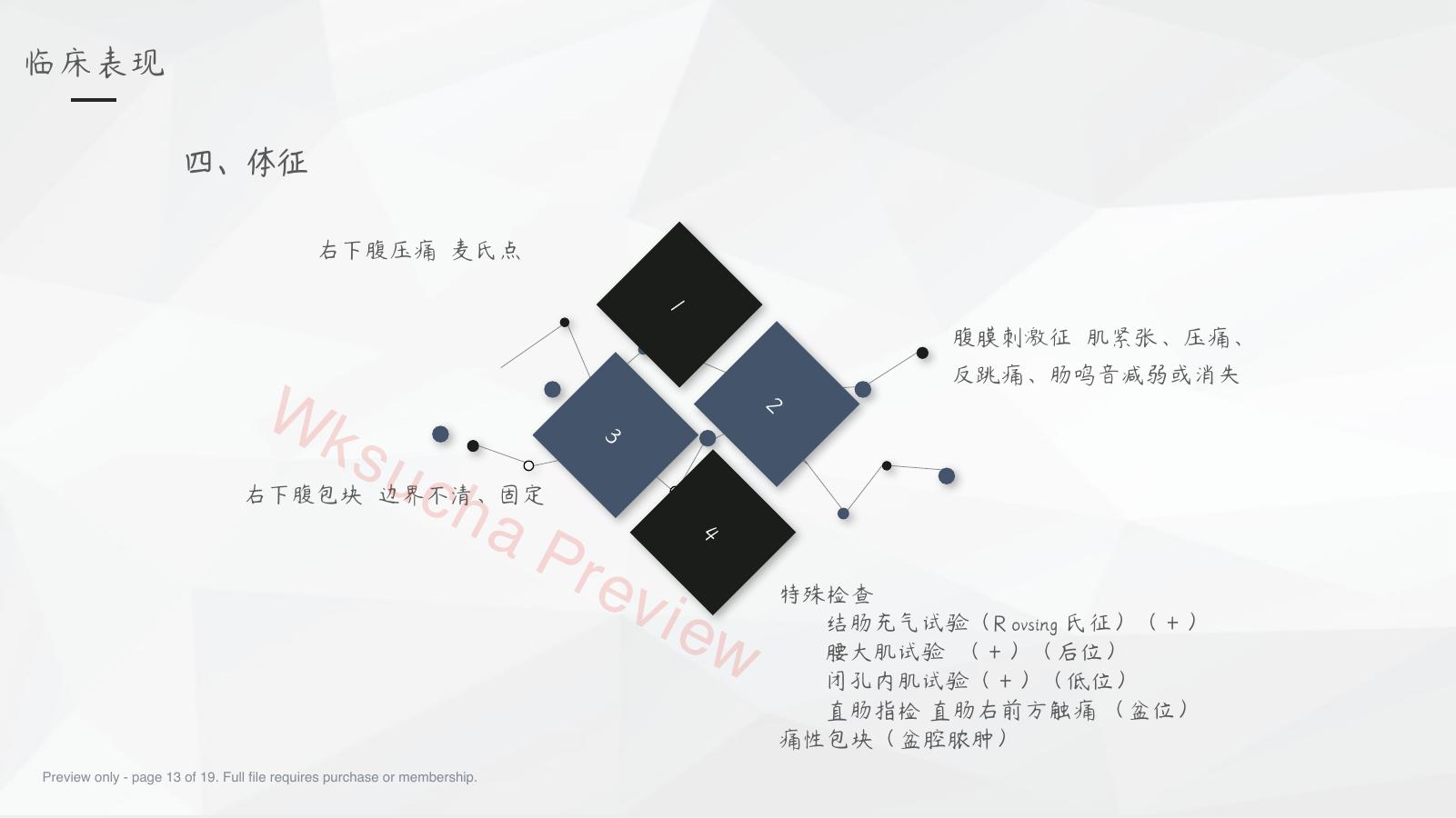 预览第 13 页