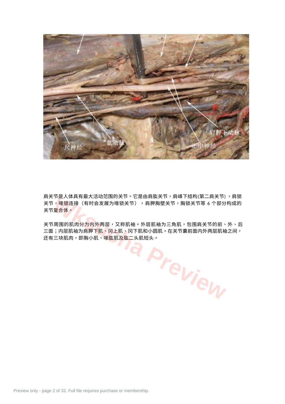 预览第 2 页