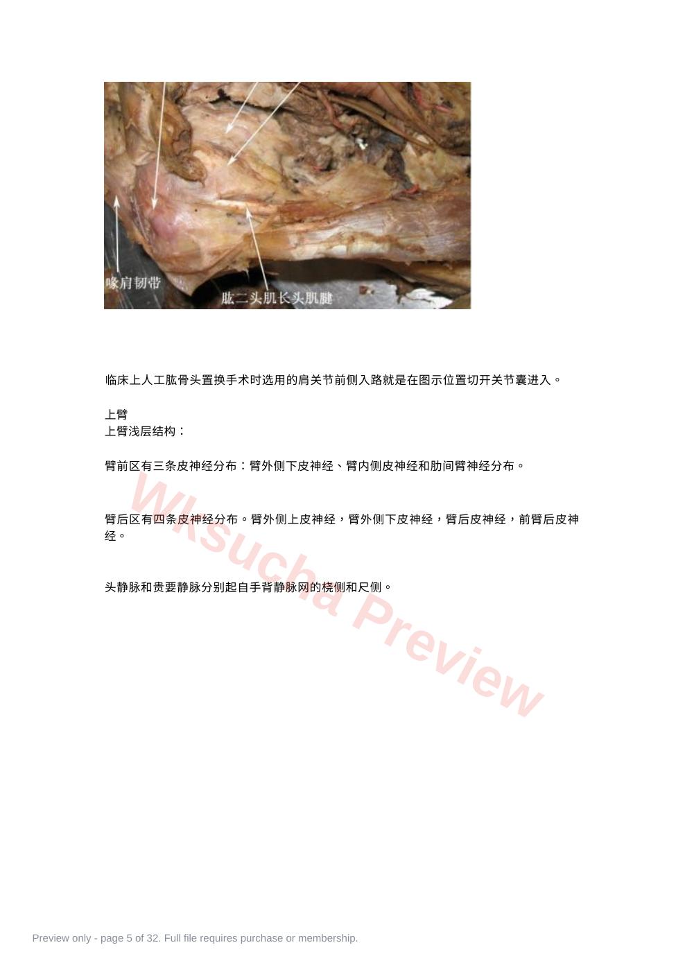 预览第 5 页