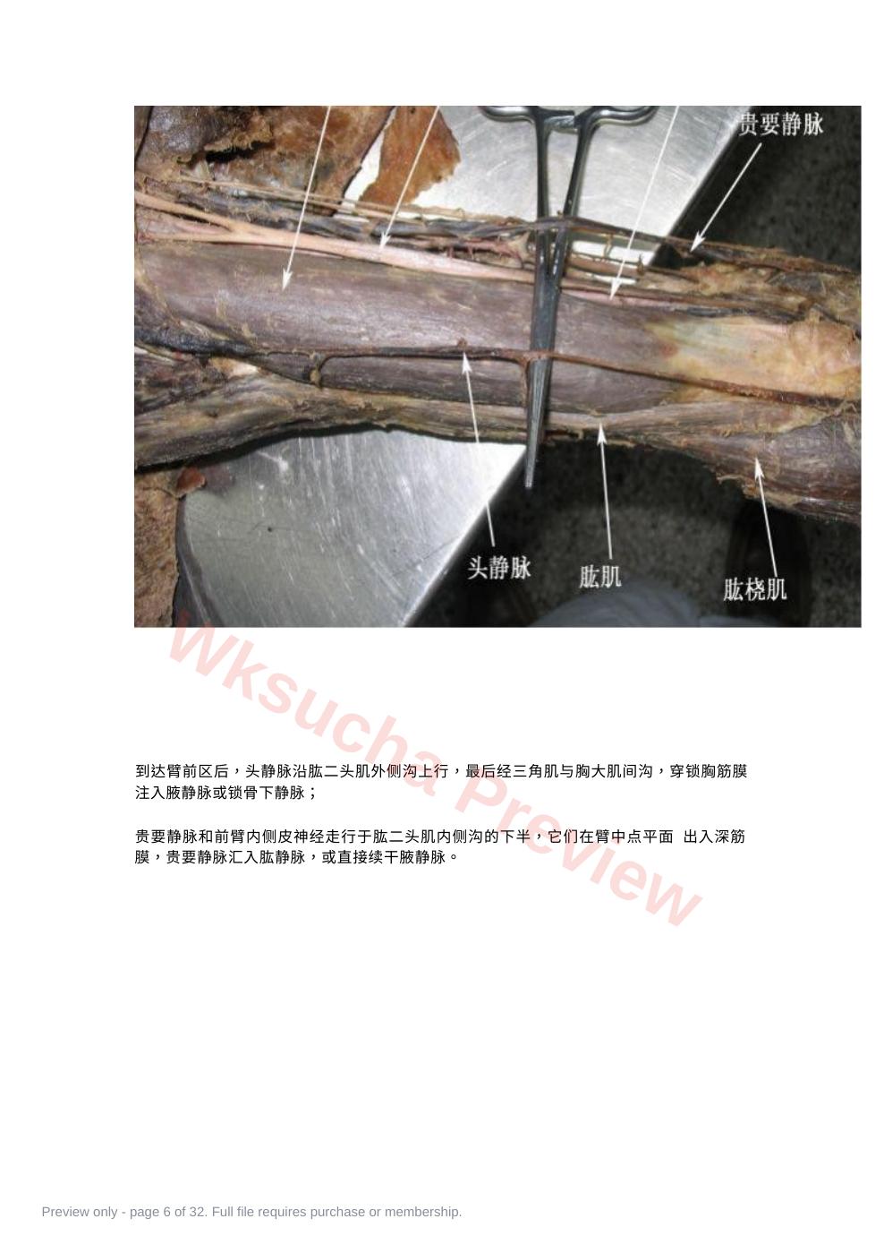 预览第 6 页