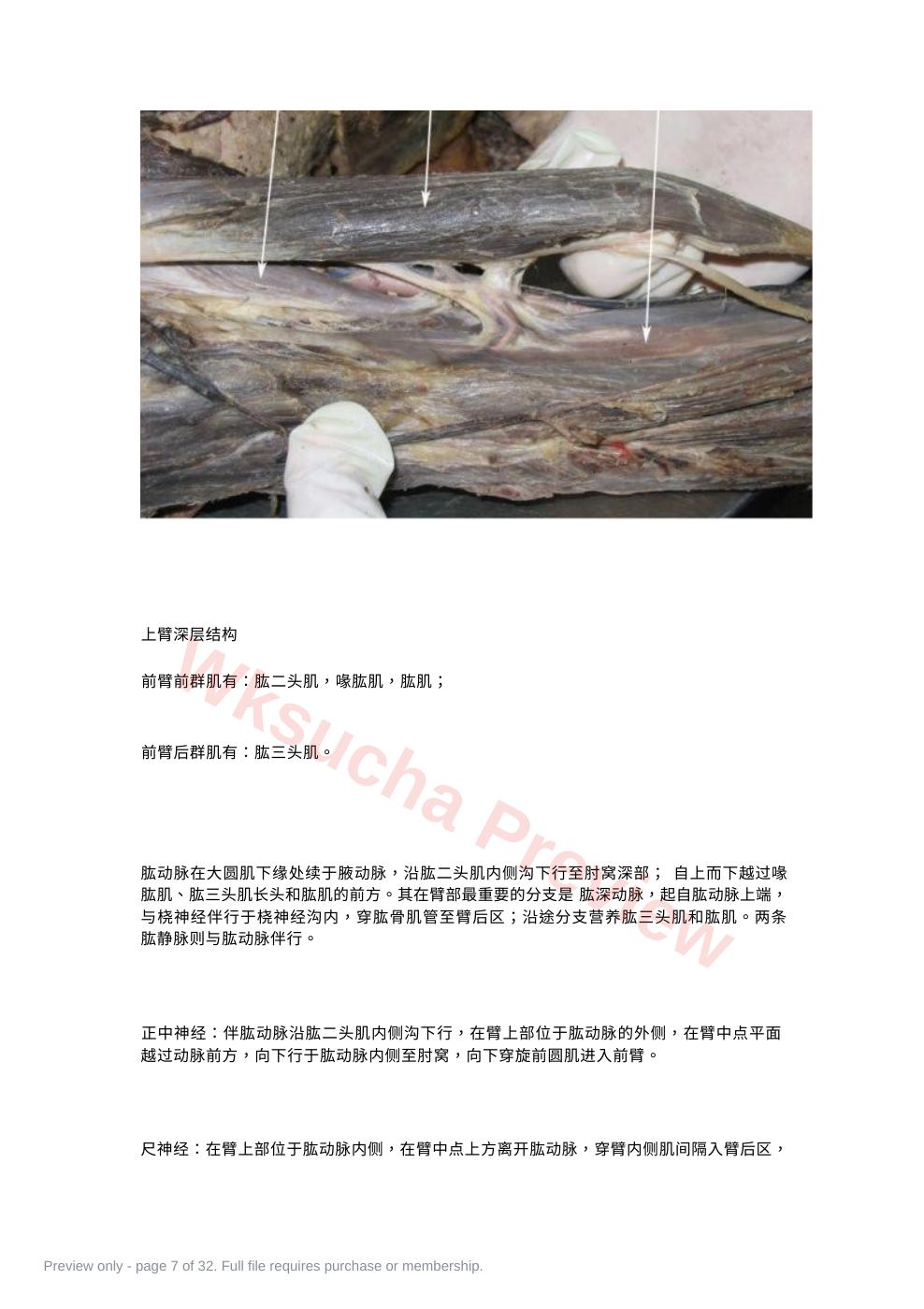 预览第 7 页