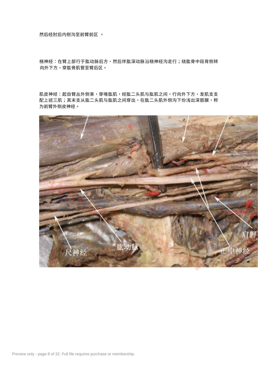 预览第 8 页