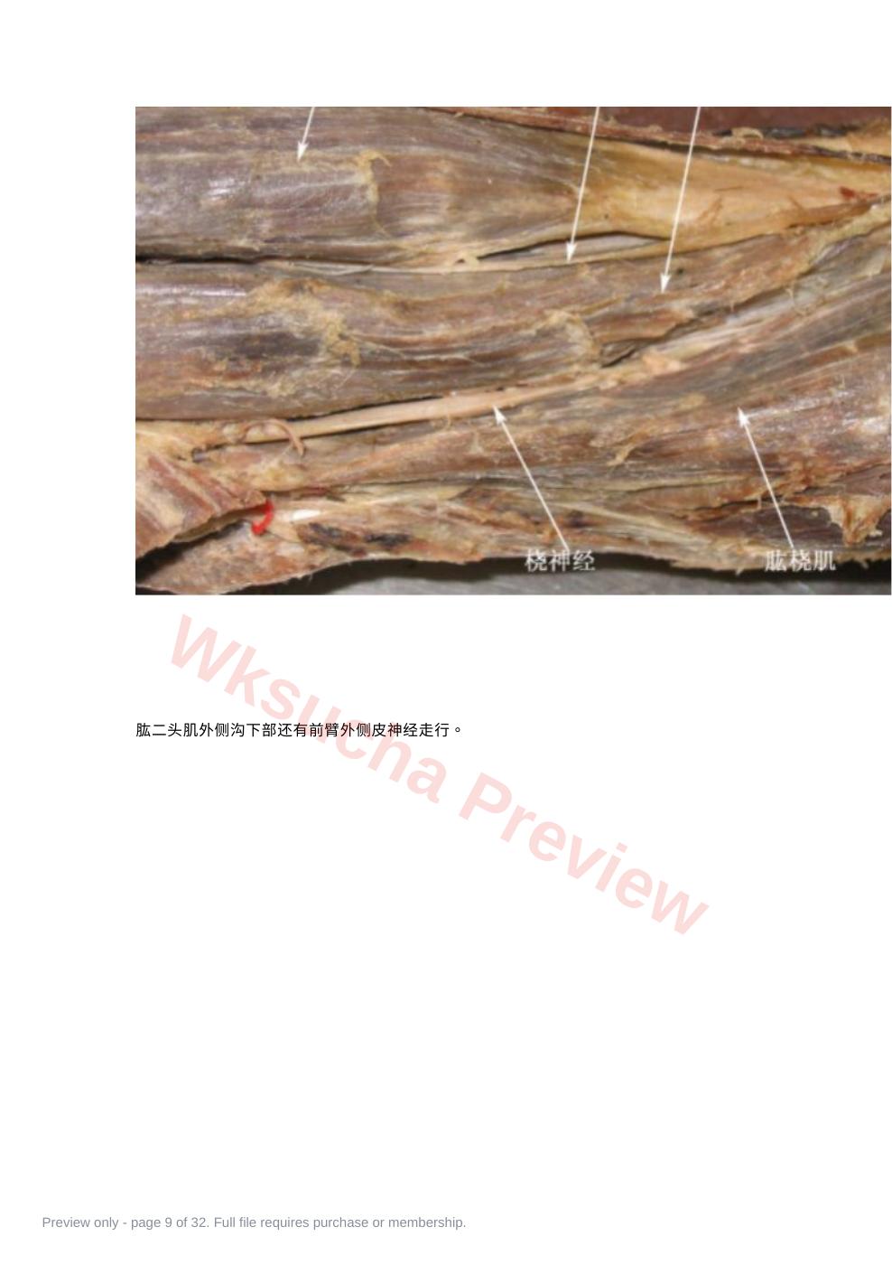 预览第 9 页