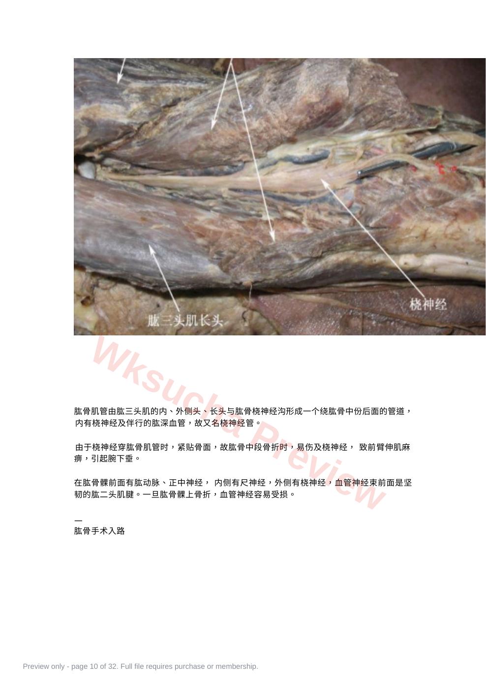 预览第 10 页
