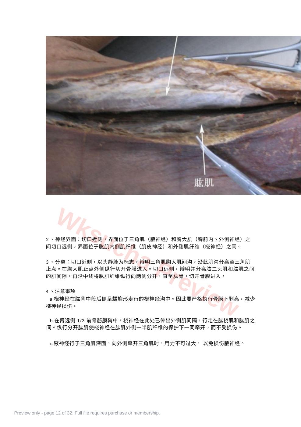 预览第 12 页
