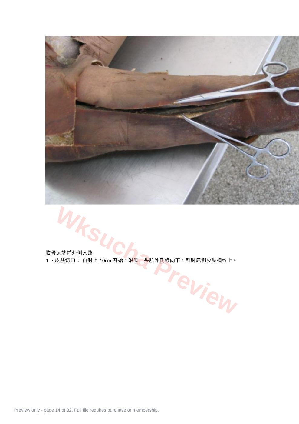 预览第 14 页