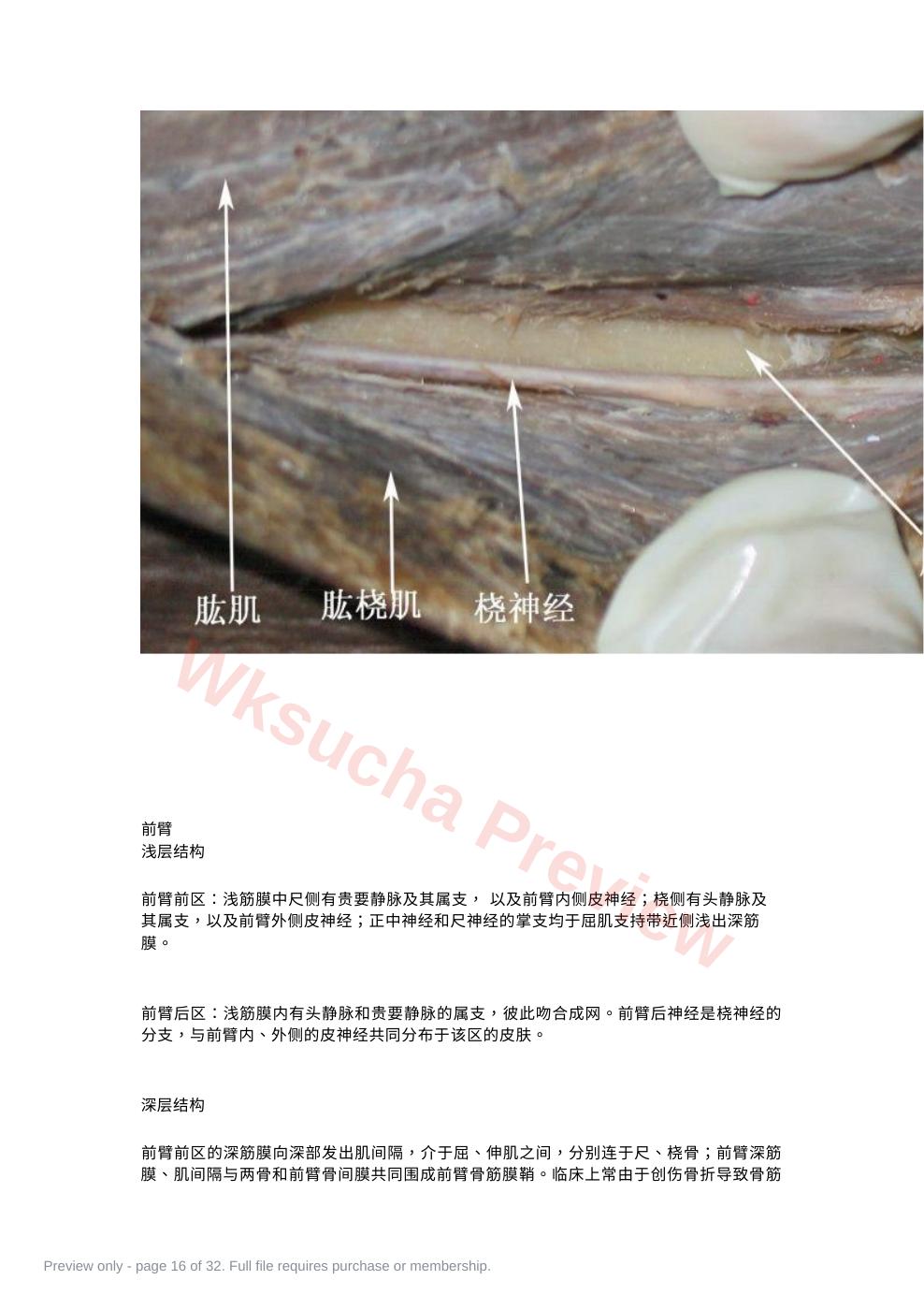 预览第 16 页