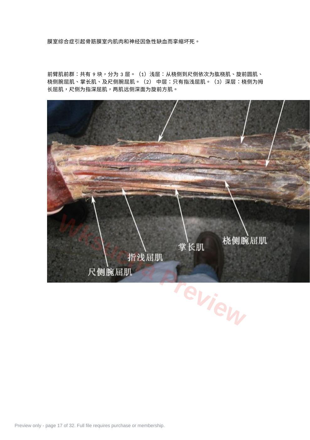 预览第 17 页