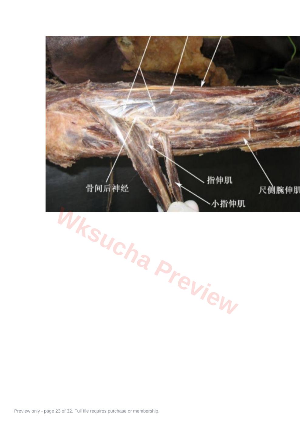 预览第 23 页