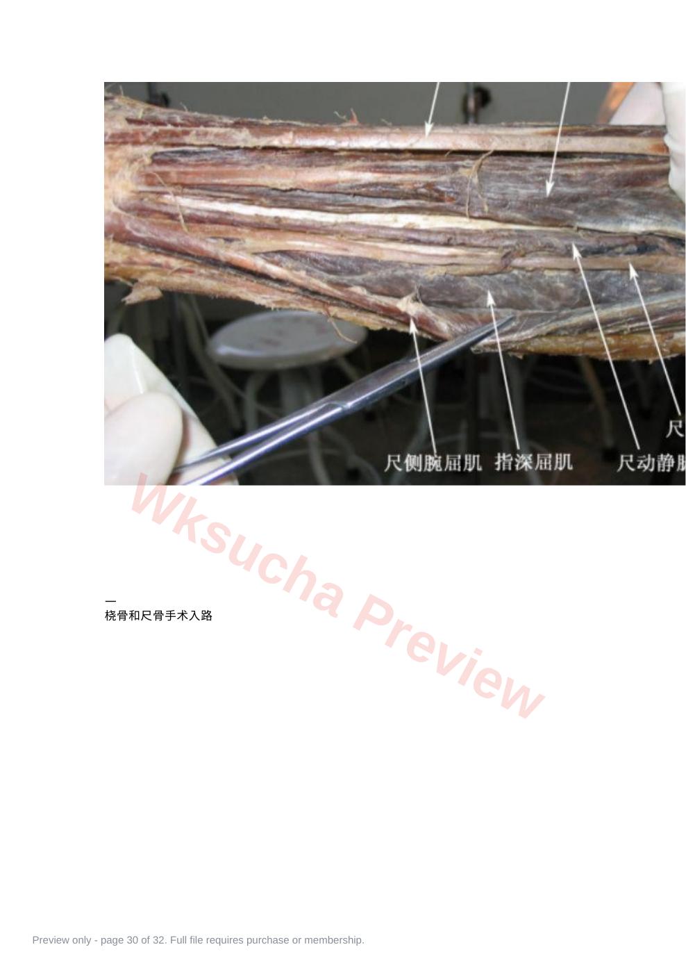 预览第 30 页