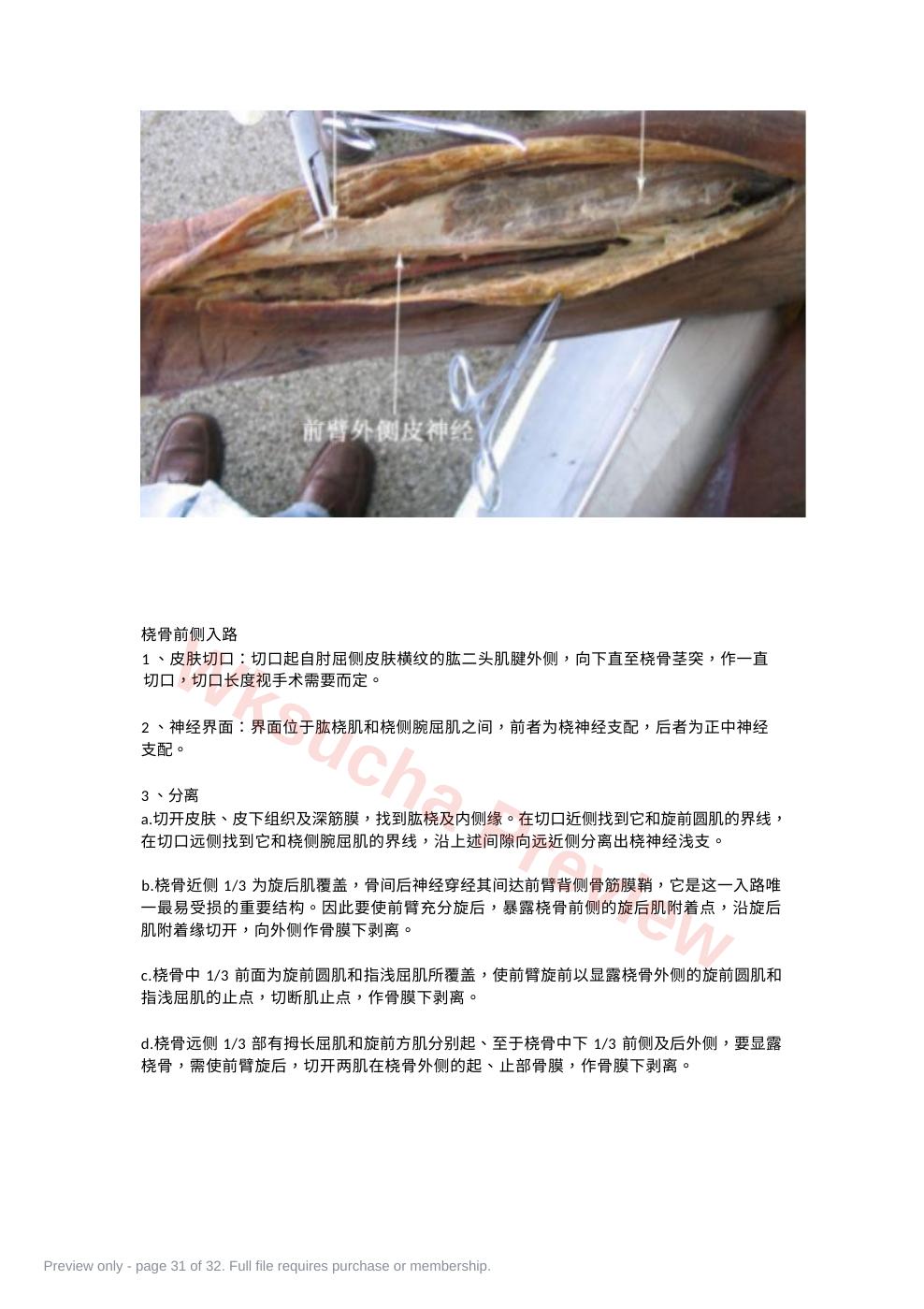 预览第 31 页