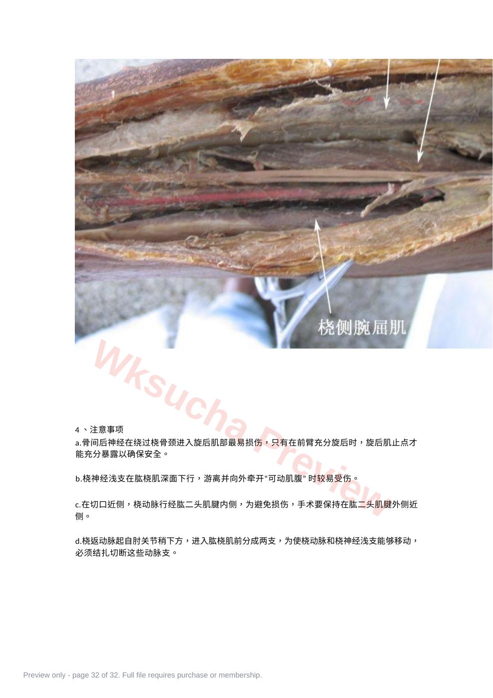 预览第 32 页