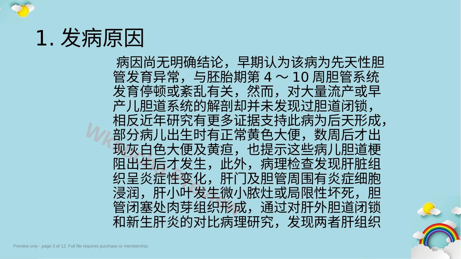 预览第 3 页