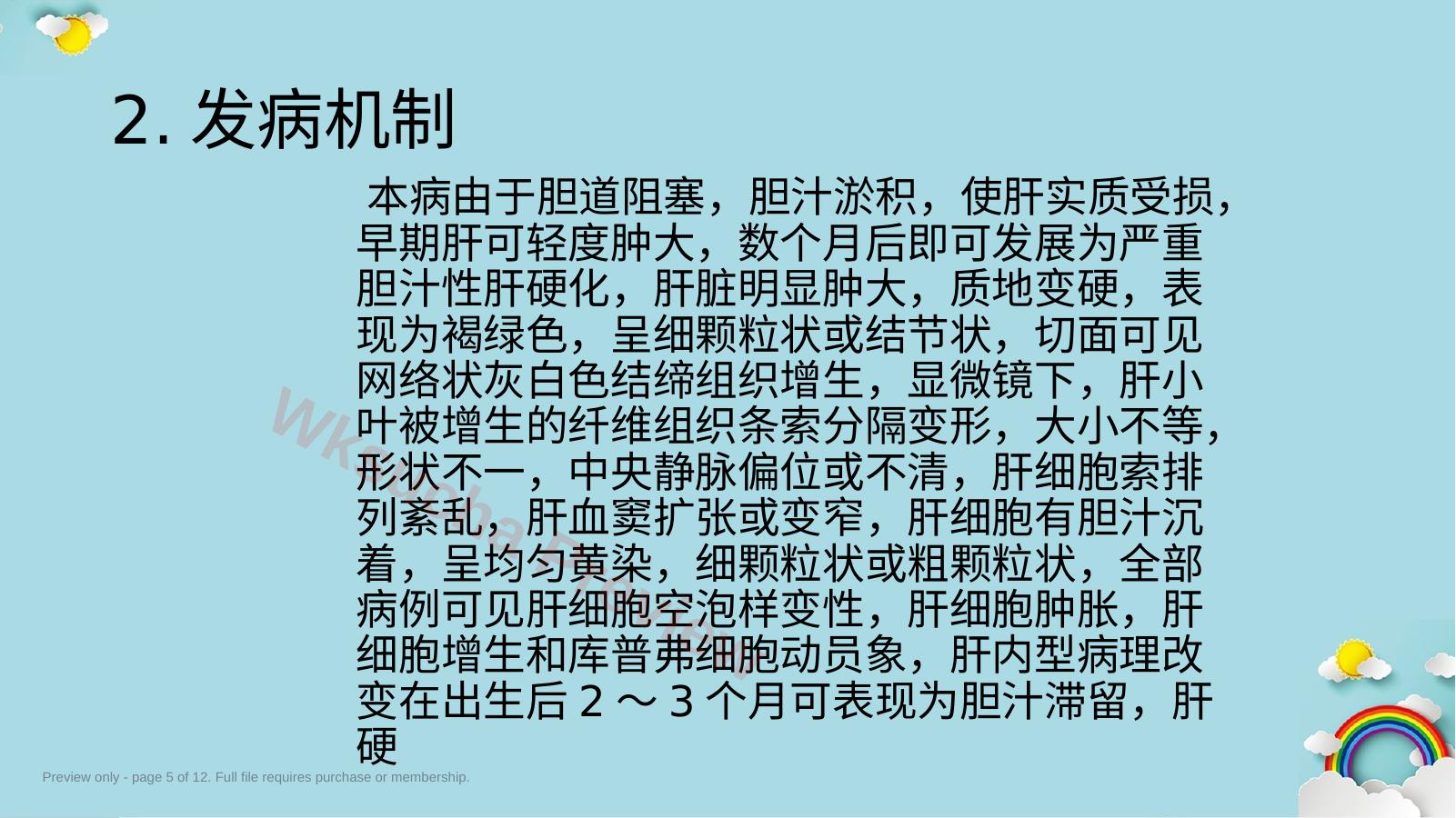 预览第 5 页