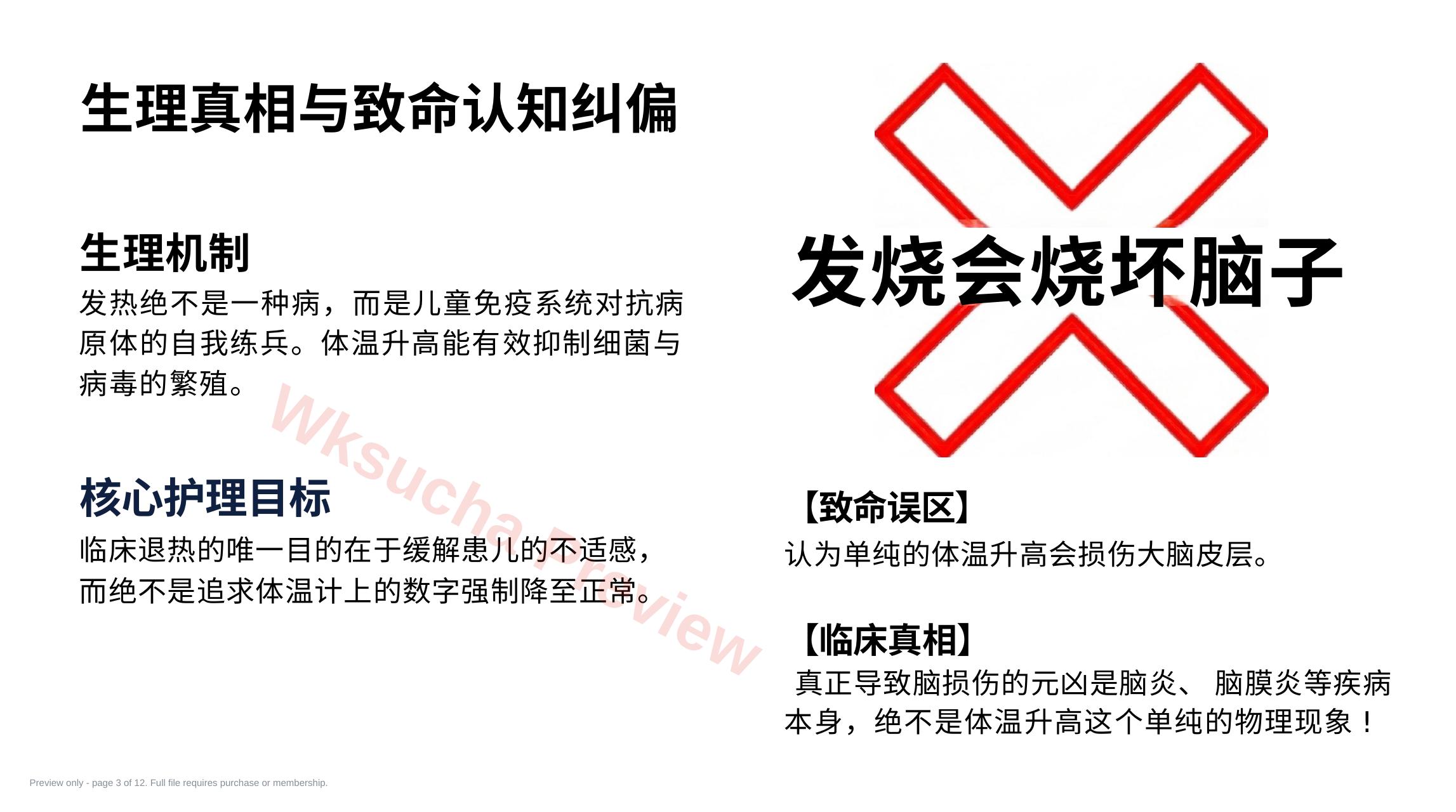 预览第 3 页