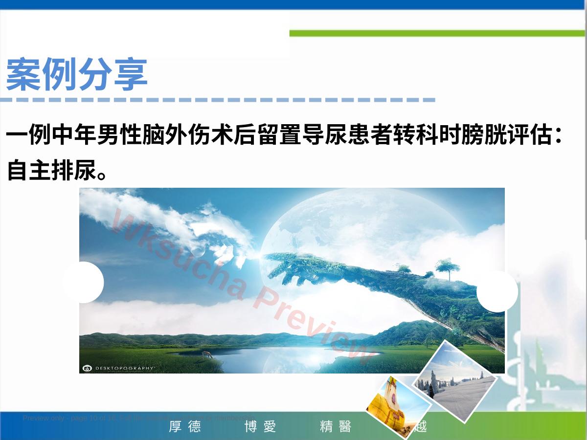 预览第 10 页