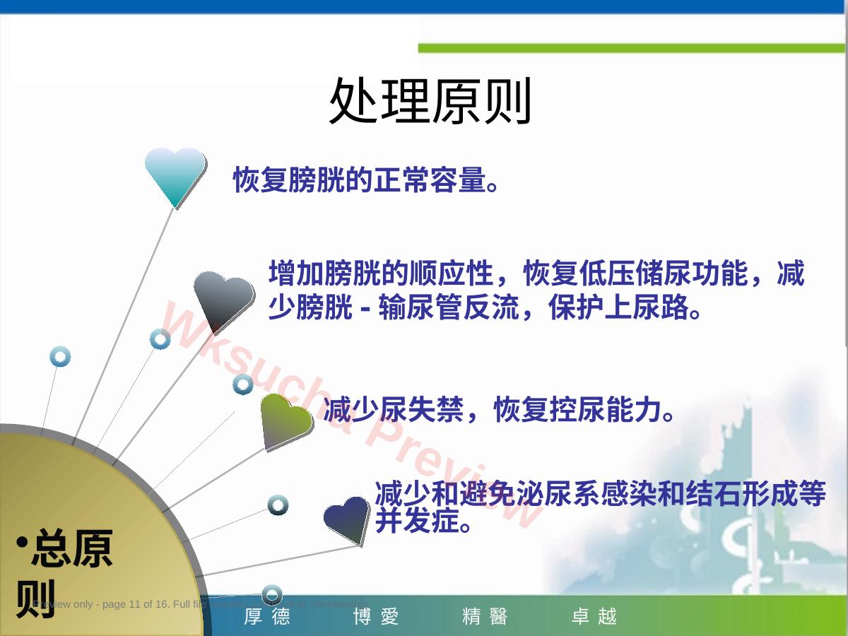 预览第 11 页