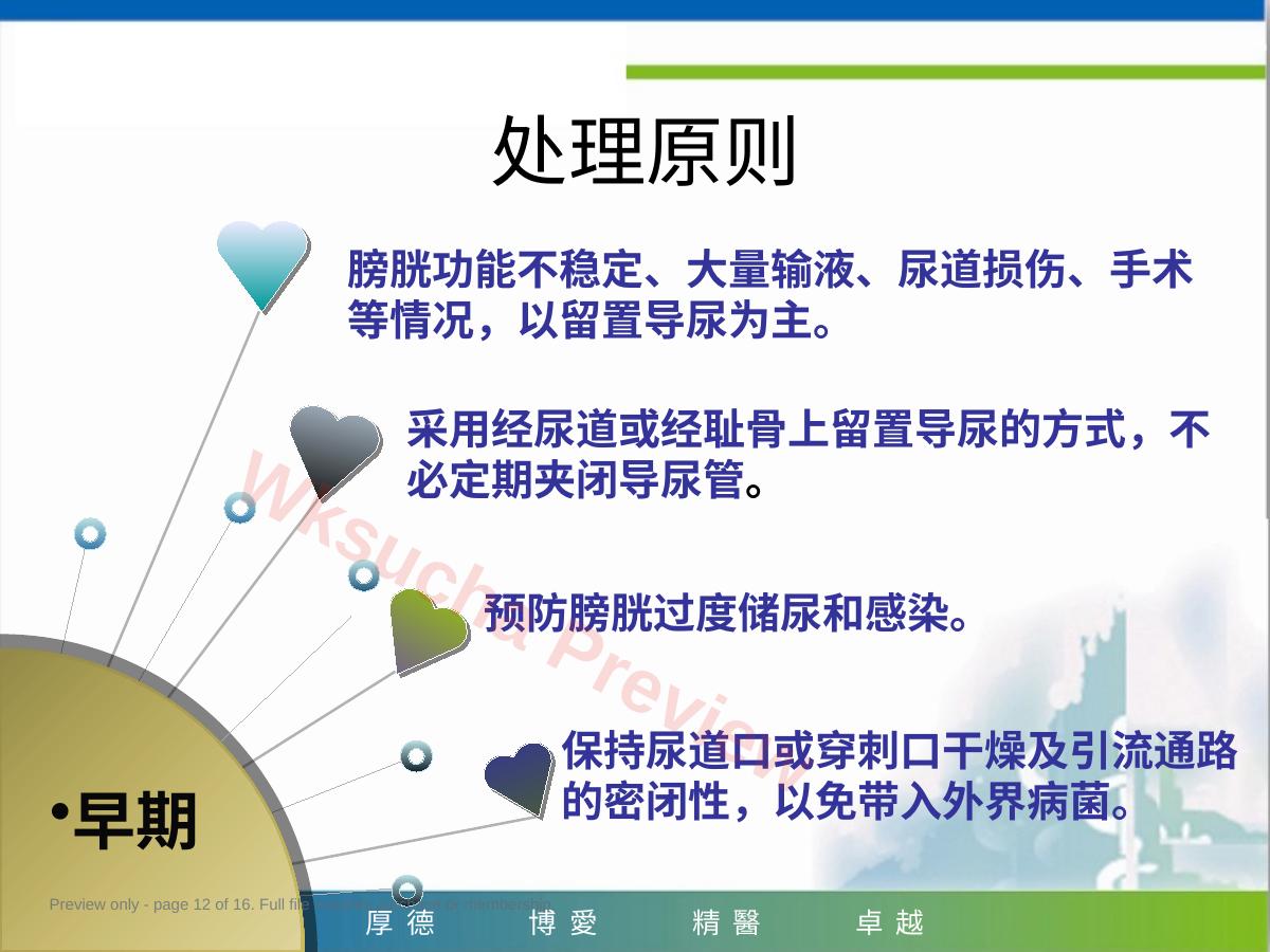 预览第 12 页